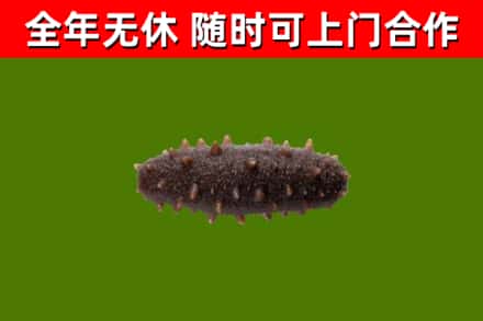 防城港市烟酒回收干海参.jpg